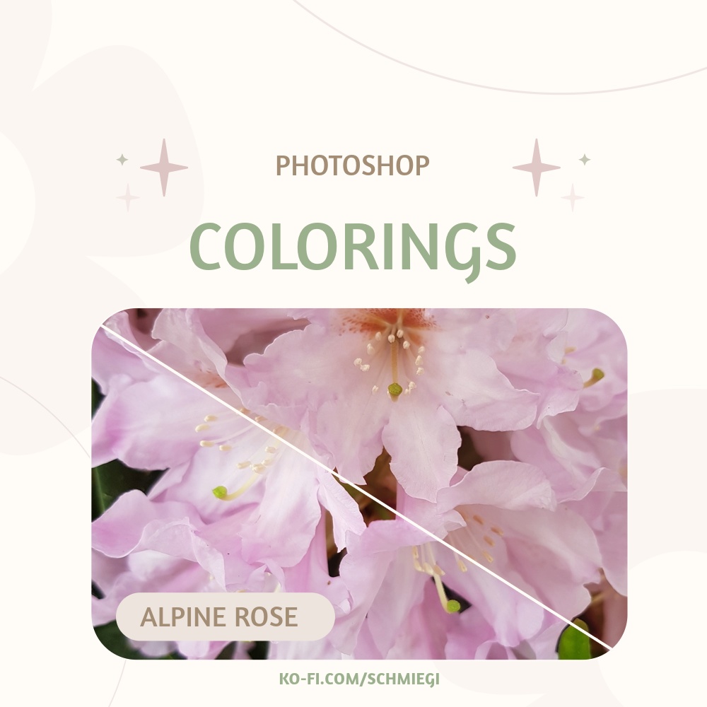 [Free Download] Alpine Rose - Photoshop Coloring