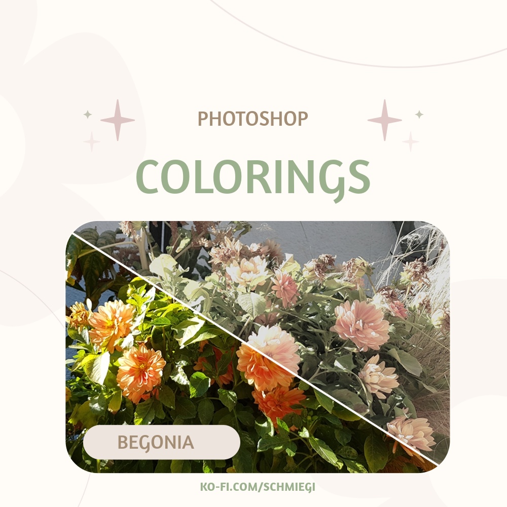 [Free Download] Begonia - Photoshop Coloring