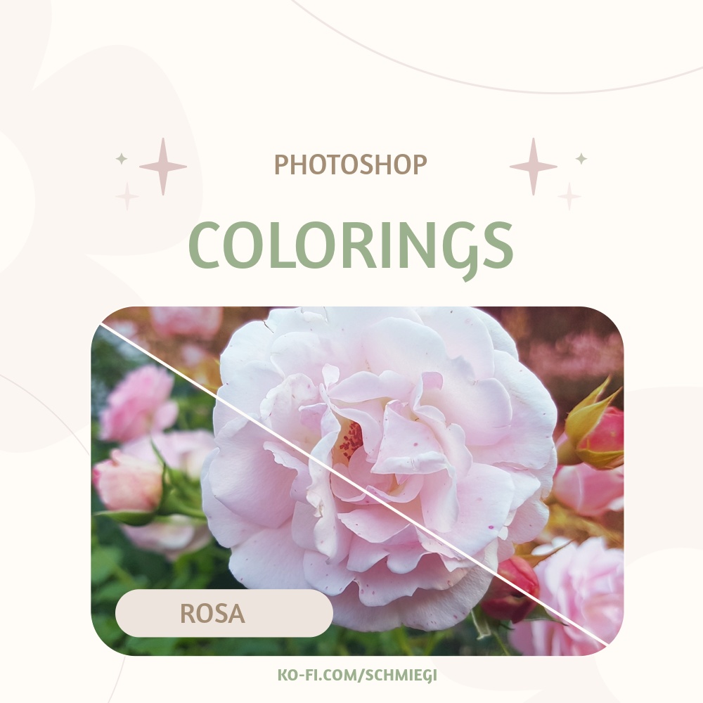 [Free Download] Rosa - Photoshop Coloring