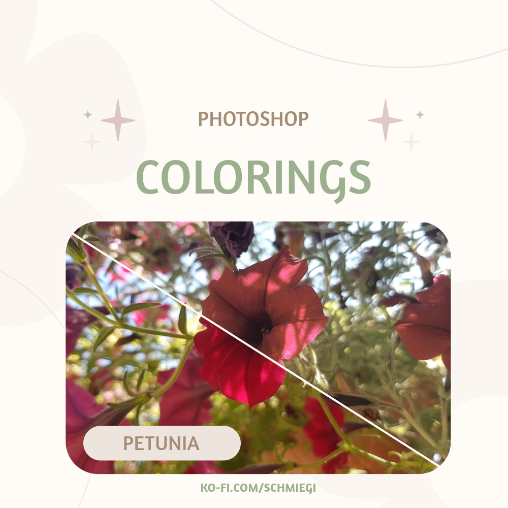 [Free Download] Petunia - Photoshop Coloring