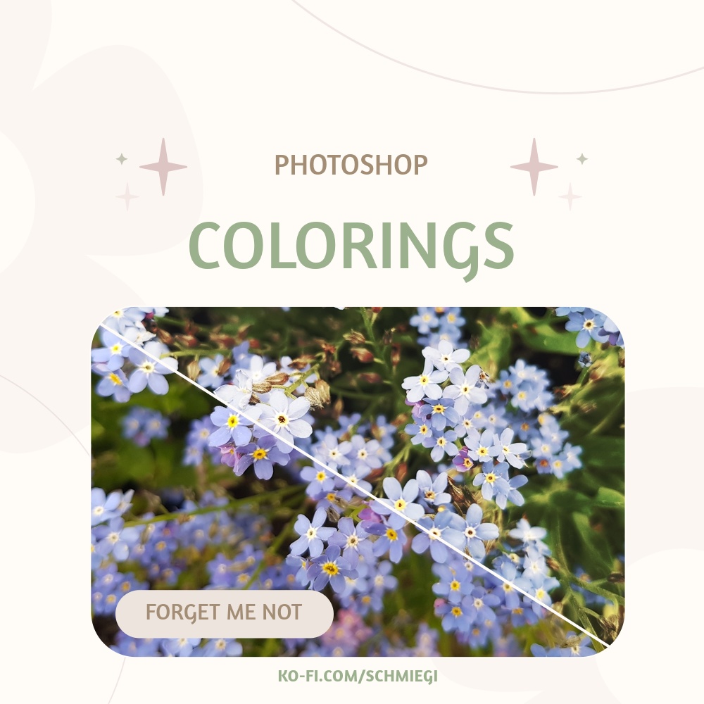 [Free Download] Forget me not - Photoshop Coloring