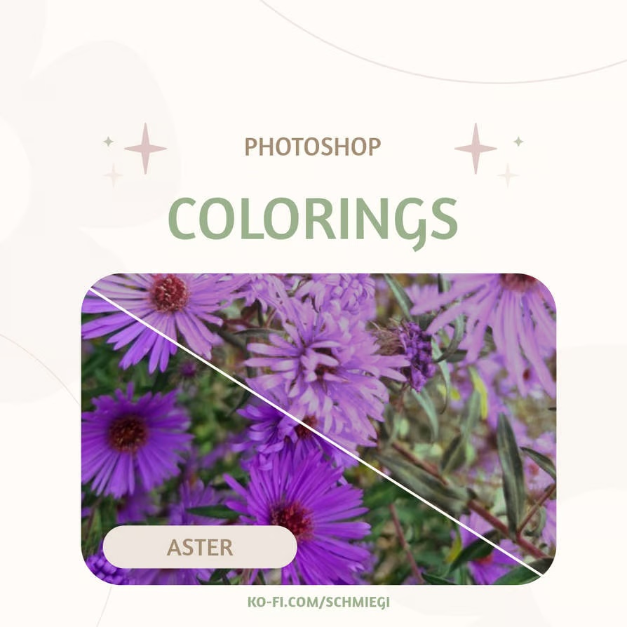 [Paid] Photoshop Coloring 3