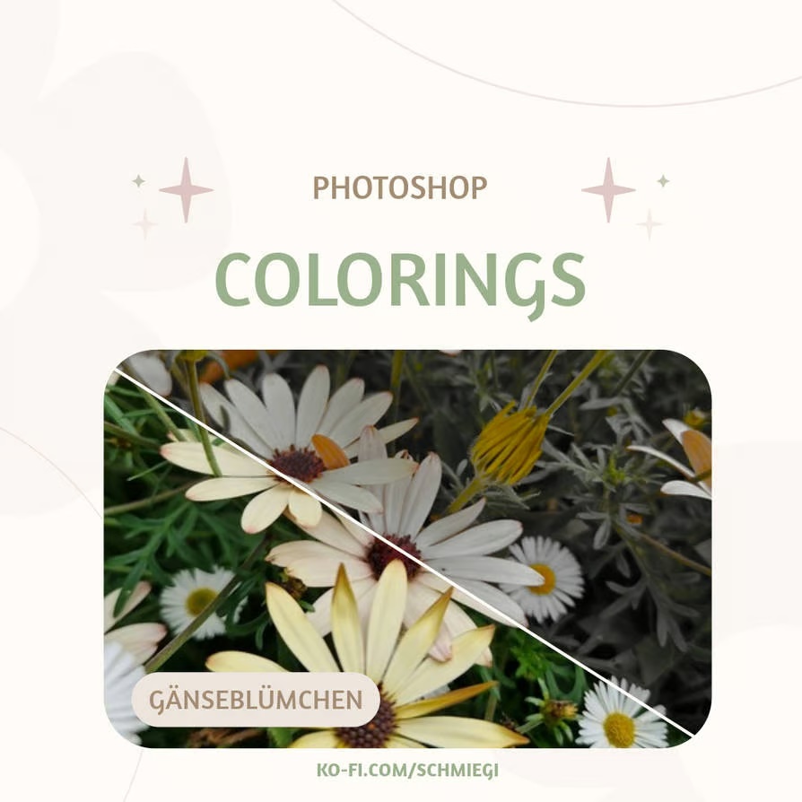 [Paid] Photoshop Coloring 4