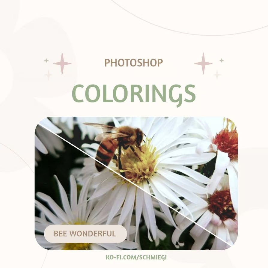 [Paid] Photoshop Coloring 7