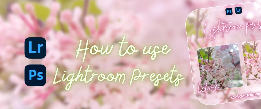 Tutorial - How to use Lightroom Presets