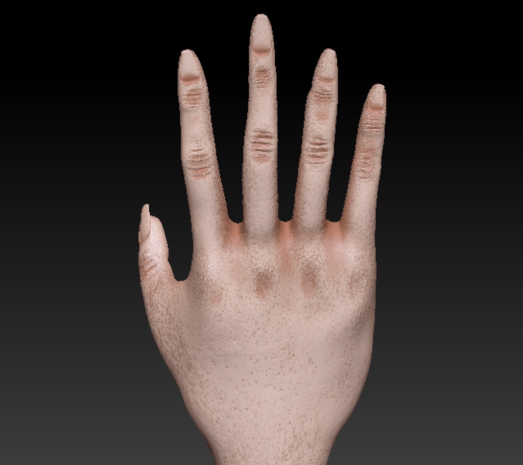 Zbrush Hand Project