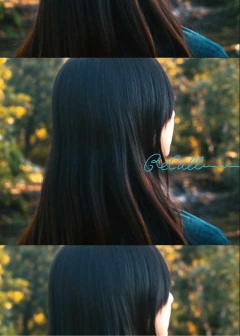 Recall