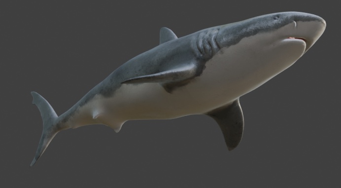 【3Dモデル】泳ぐサメ - Swimming Shark【アニメーション付き/VRChat・UE5対応】