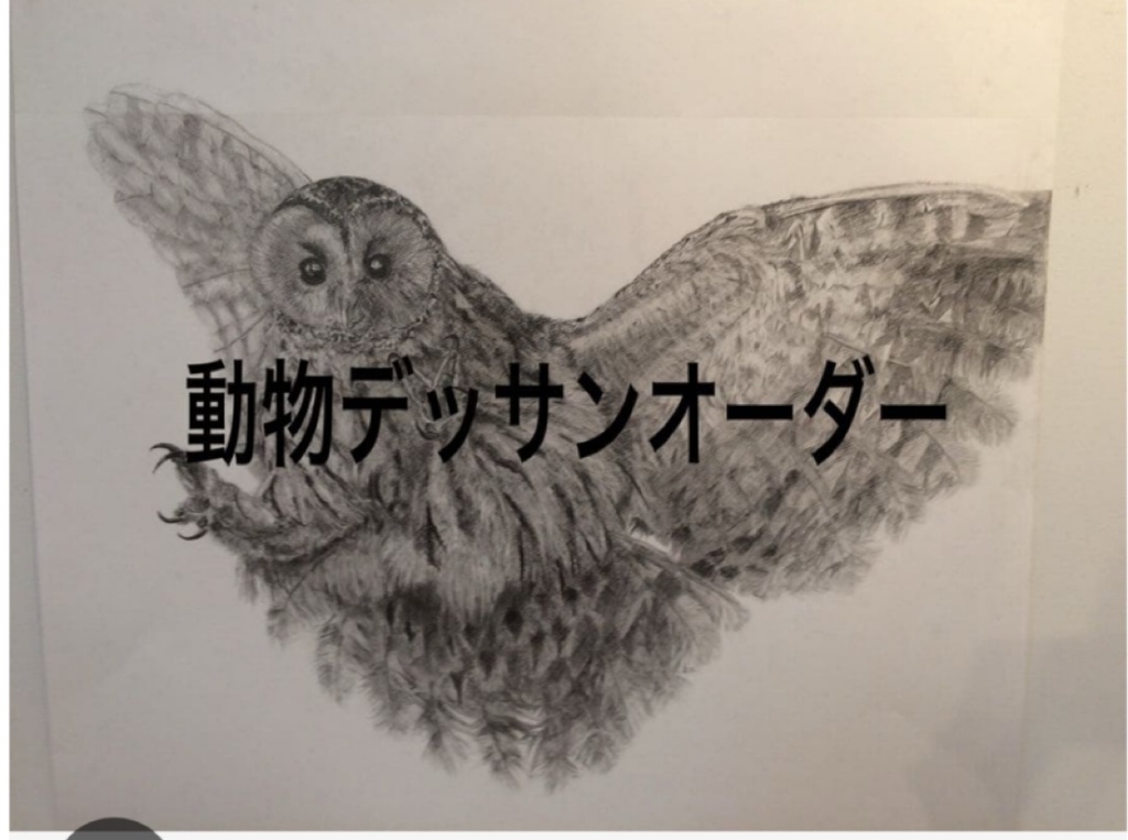 動物デッサンイラストオーダー
