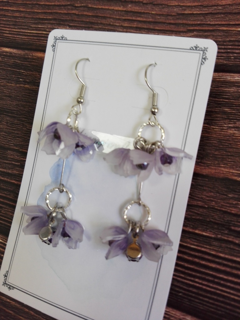 ヒュトロダエウスイメージピアス