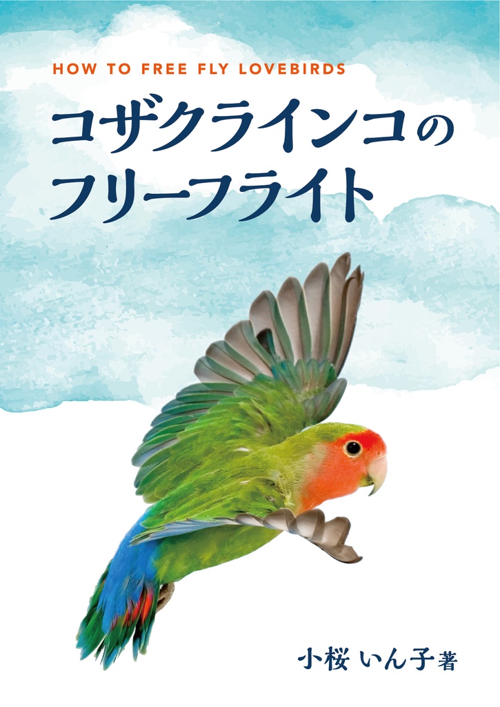 コザクラインコのフリーフライト