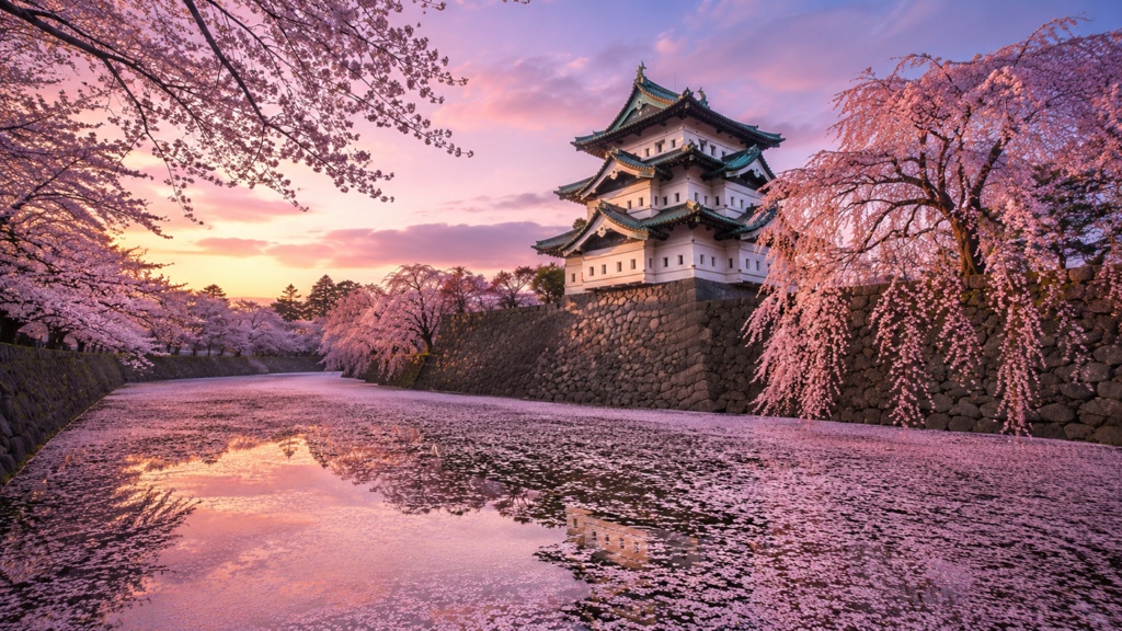 Hirosaki Castle and Cherry Blossom Moat|春の弘前城と桜筏|Japanese Spring PC Wallpaper 1920×1080