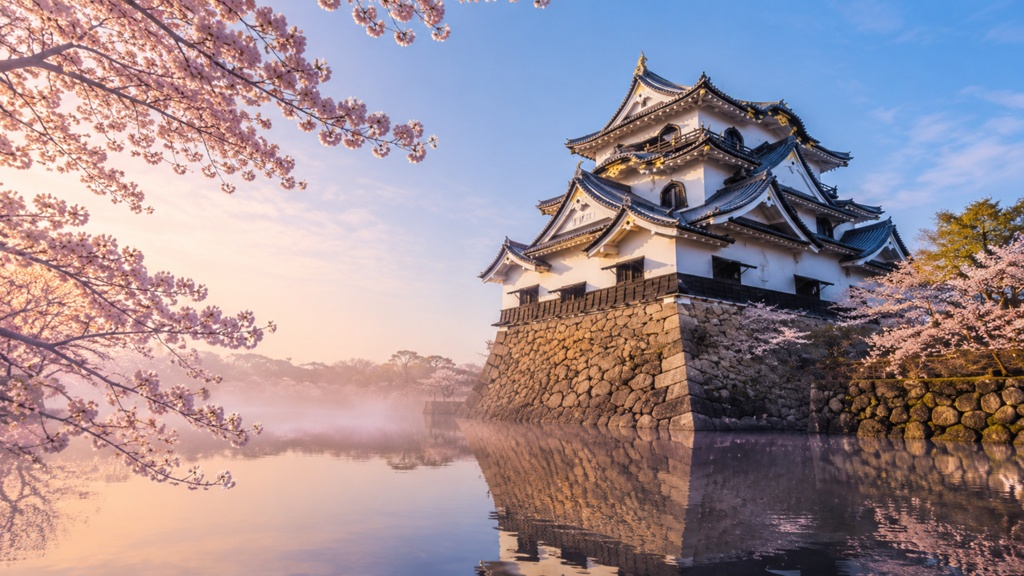 Hikone Castle in Spring Mist｜春霞の彦根城と桜の堀｜Japanese Castle PC Wallpaper 1920×1080