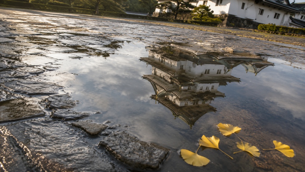 Wakayama Castle in a Rain Puddle｜水たまりに映る朝の和歌山城｜Japanese Castle PC Wallpaper 1920×1080