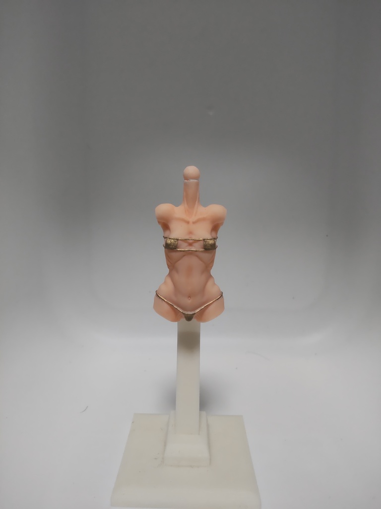 メガミデバイス カスタム水着ボディG