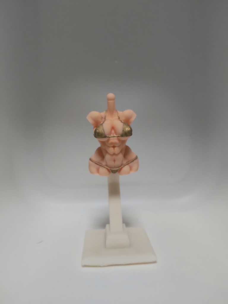 メガミデバイス カスタム水着ボディM