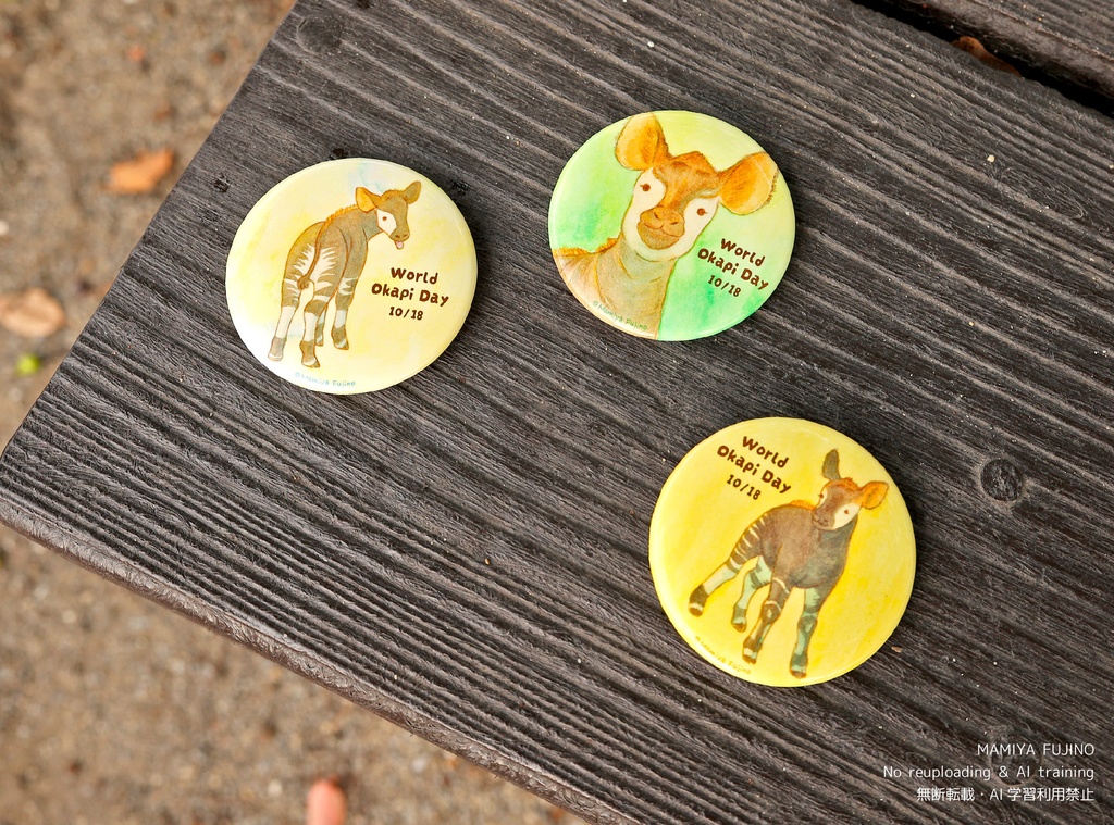 🆕缶バッジ(世界オカピの日)