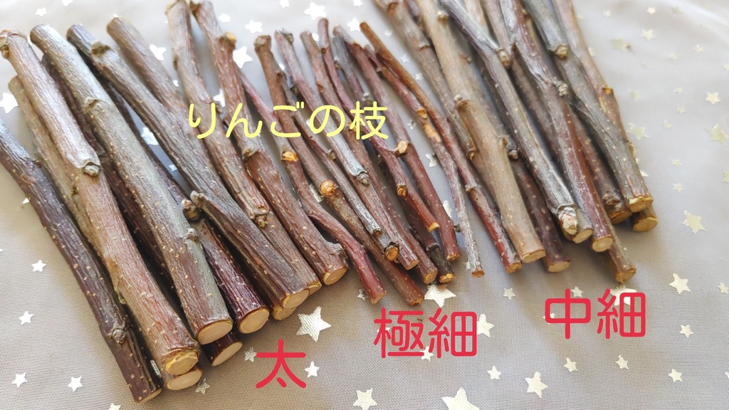 【小枝つき】九つの枝があなたを導くルーン小枝占い