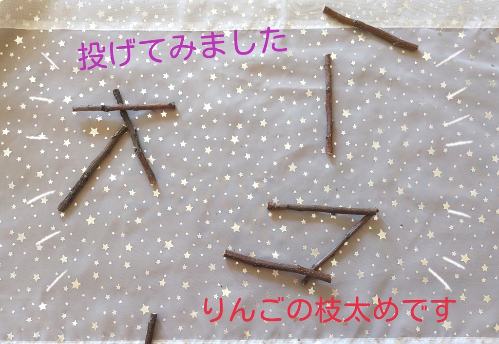 【小枝つき】九つの枝があなたを導くルーン小枝占い