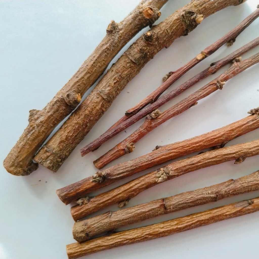 ルーン小枝占い用・おかわり小枝