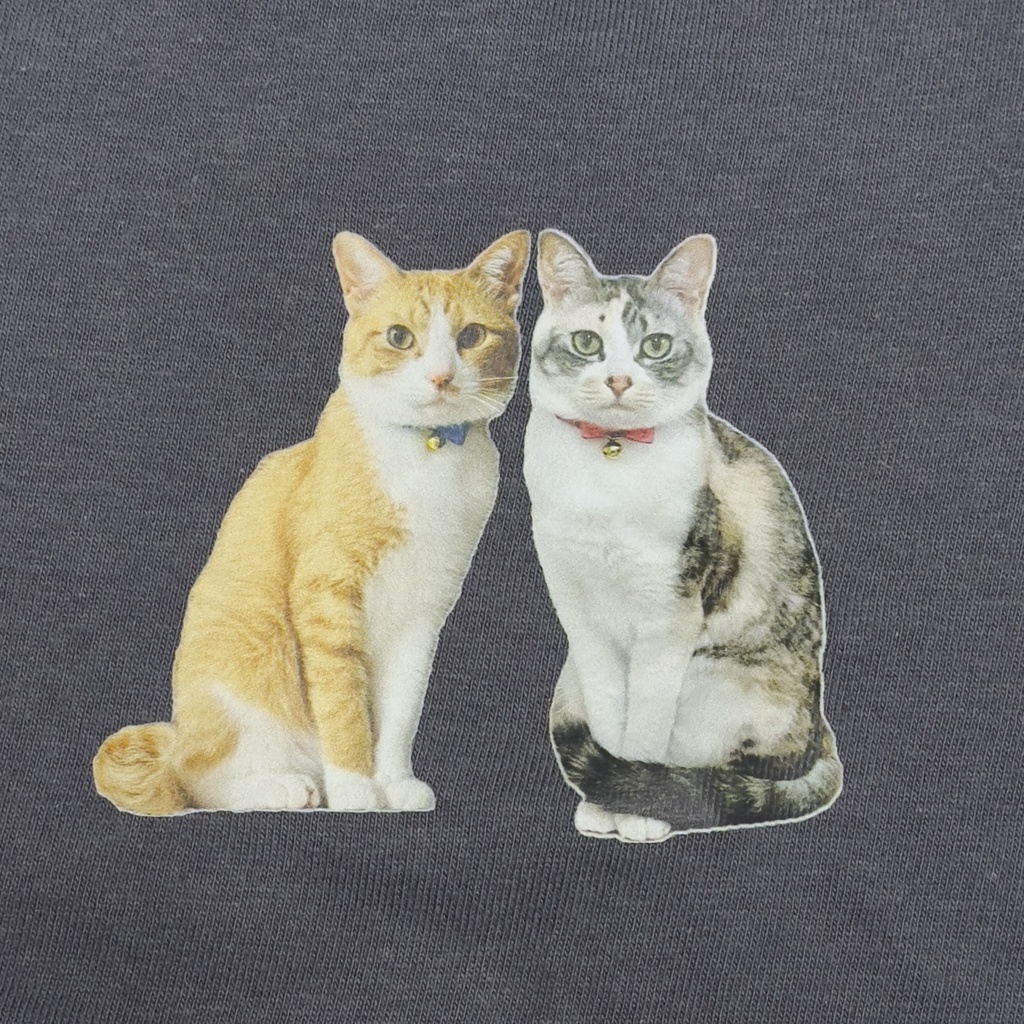 ピート&チルル メンズカラーTシャツ