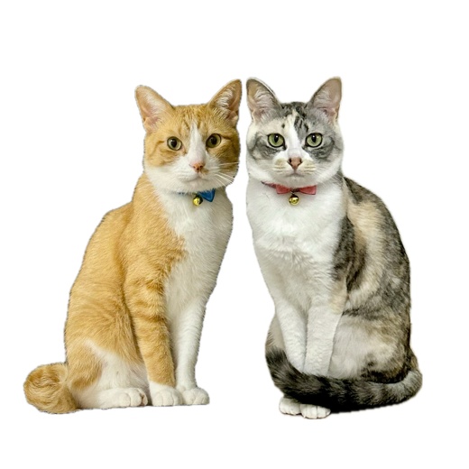 ピート&チルル メンズ白Tシャツ