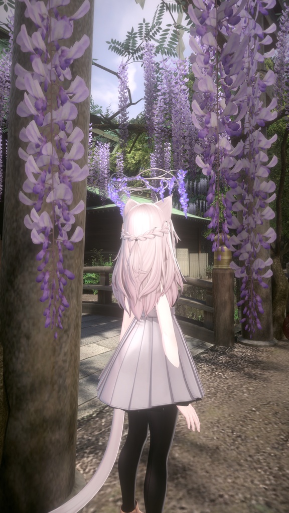 【無料/Free】藤ヘイロー Fuji Halo