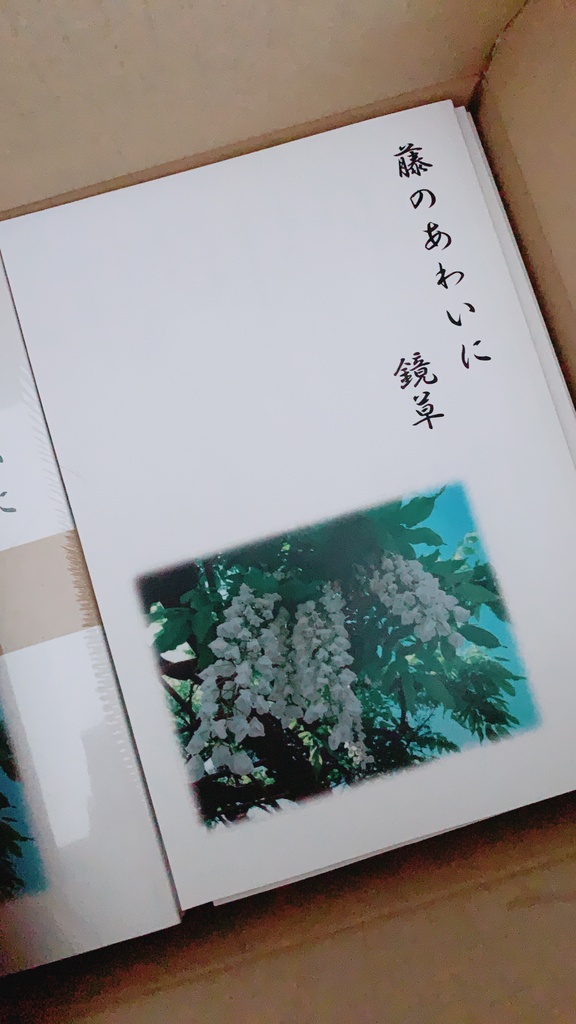 藤のあわいに鏡草
