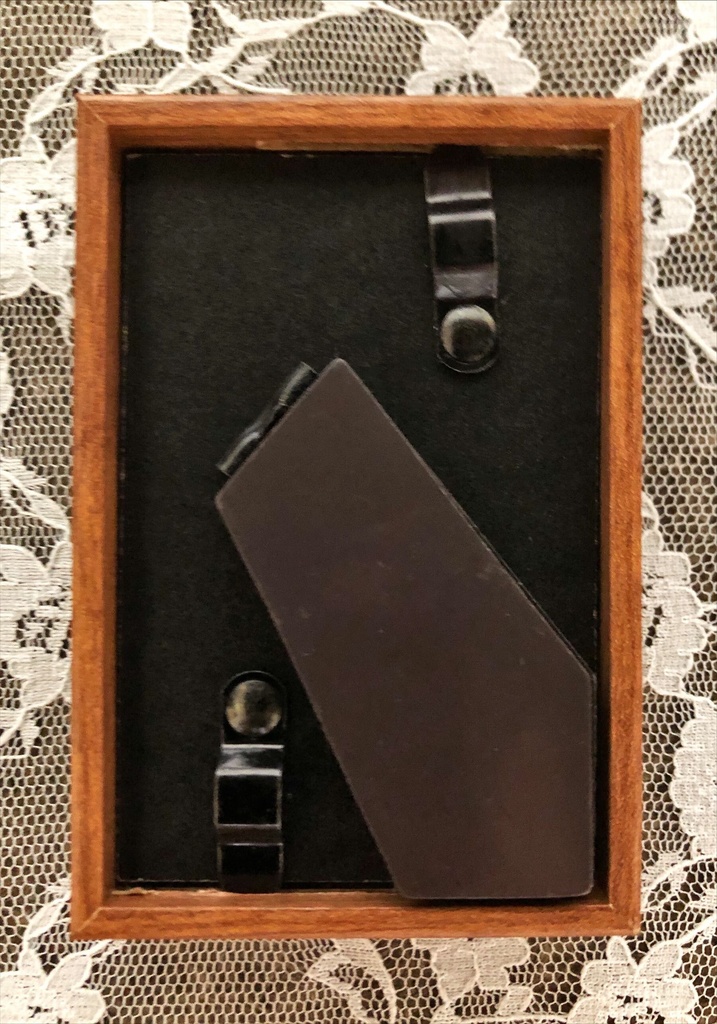 「 Blossoming sisters 」ミニ原画