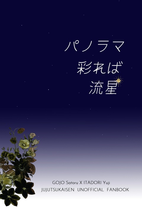 パノラマ彩れば流星