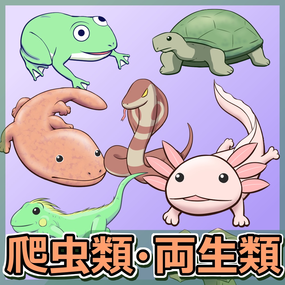 爬虫類+両生類
