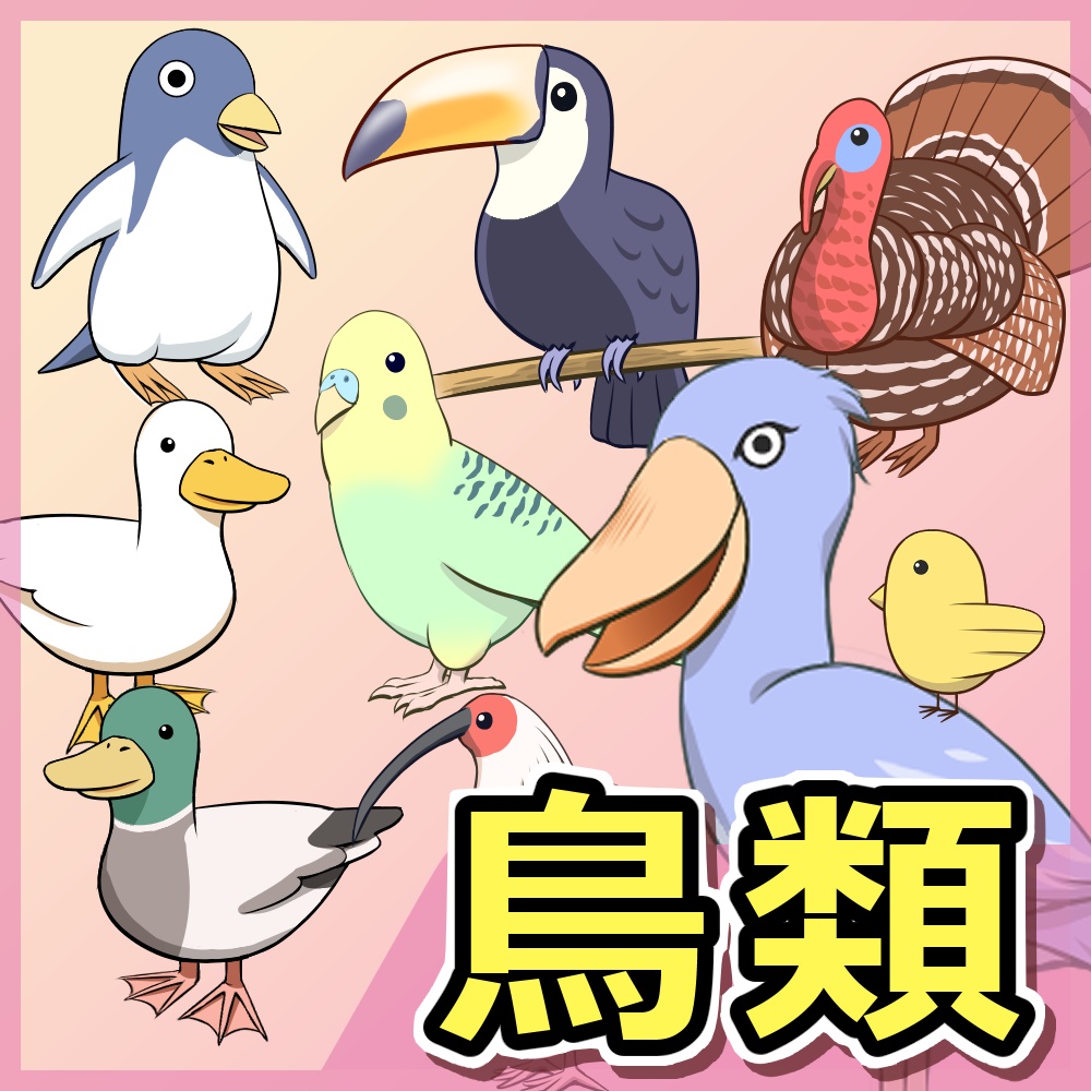 鳥類