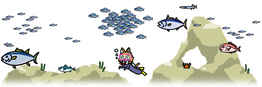 ダイビングキャットC