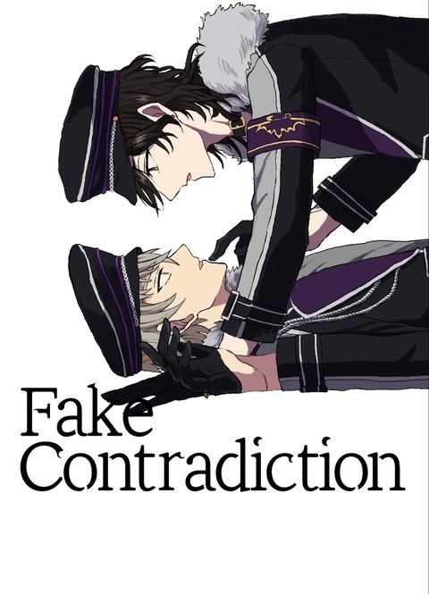 Fake Contradiction