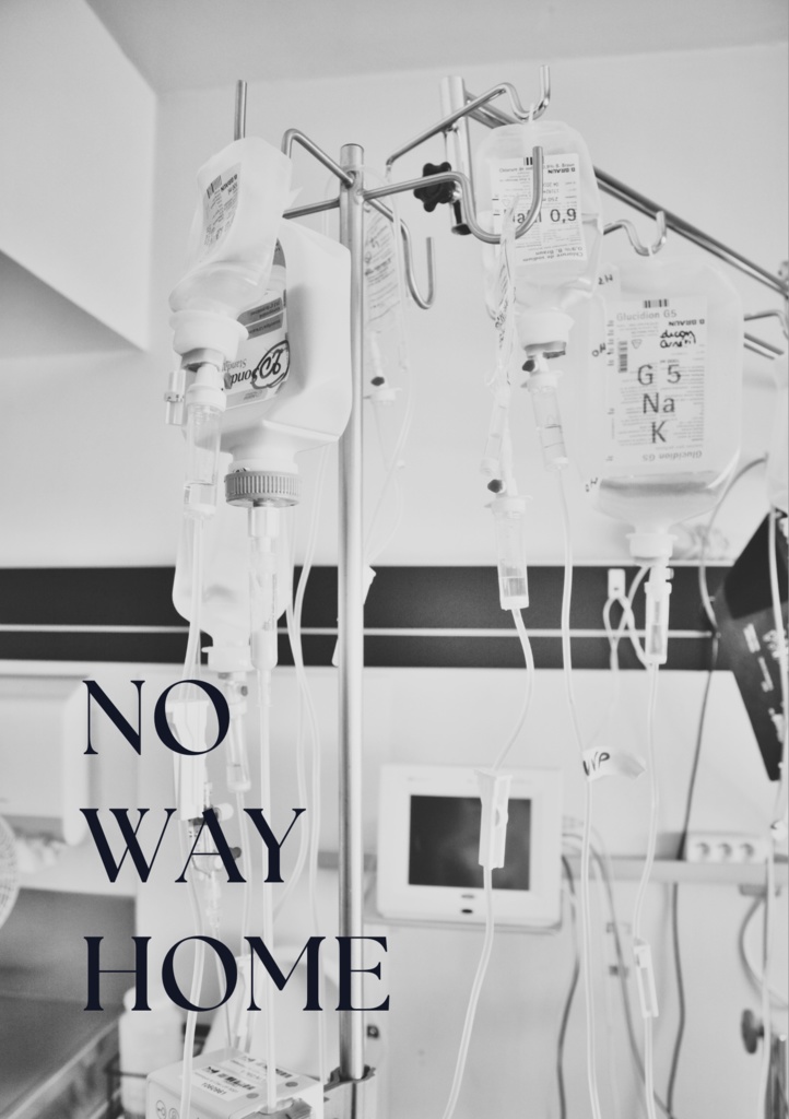 NO WAY HOME