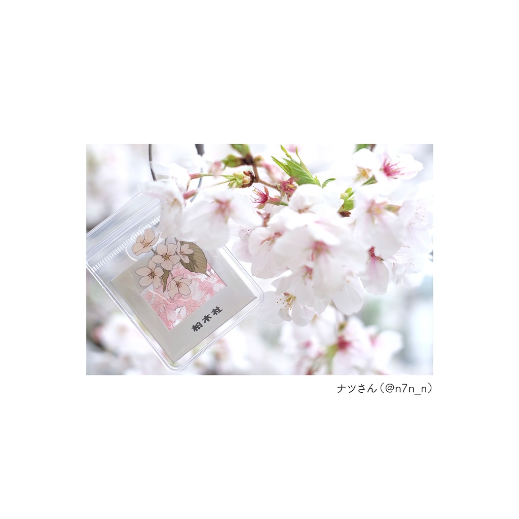 フィルムカード〈全4種〉