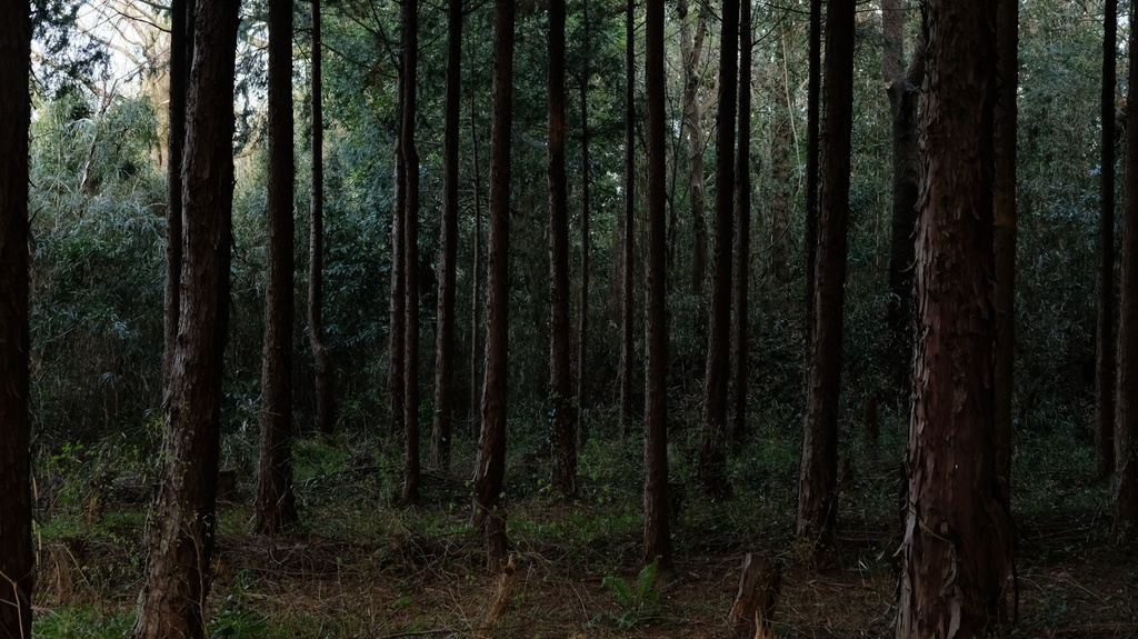 【素材】背景 写真 『洋館、喫茶店入口、田舎道』 200枚【TRPG用】