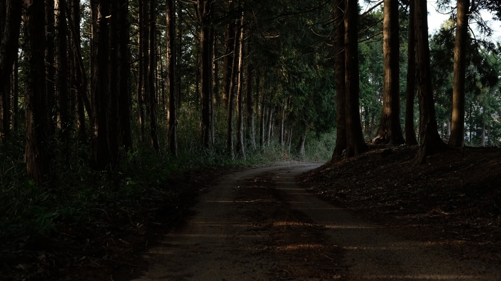 【素材】背景 写真 『洋館、喫茶店入口、田舎道』 200枚【TRPG用】