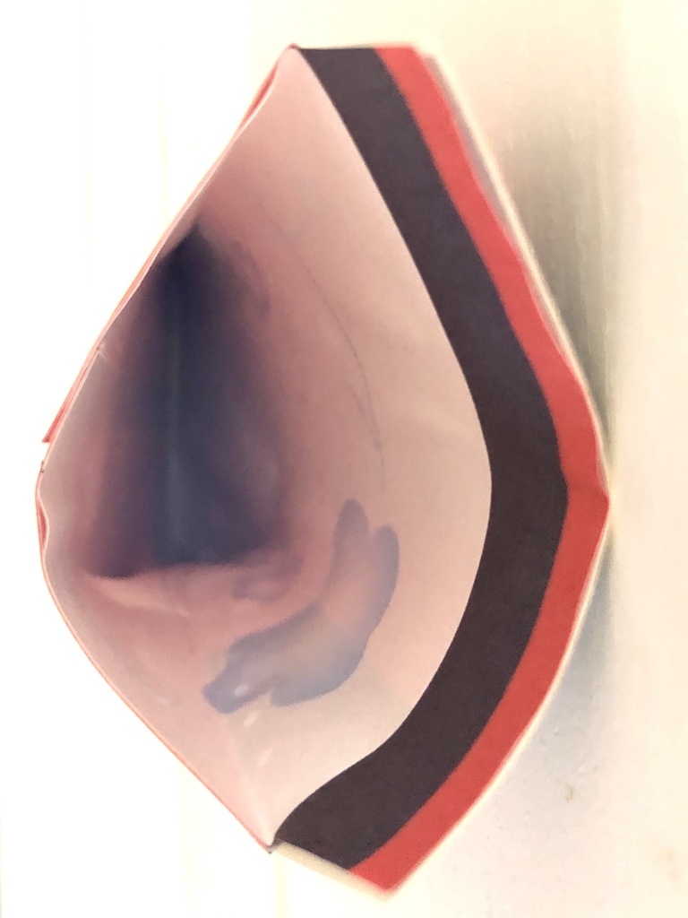 近侍ポチ袋-日向正宗 【12月発送分】