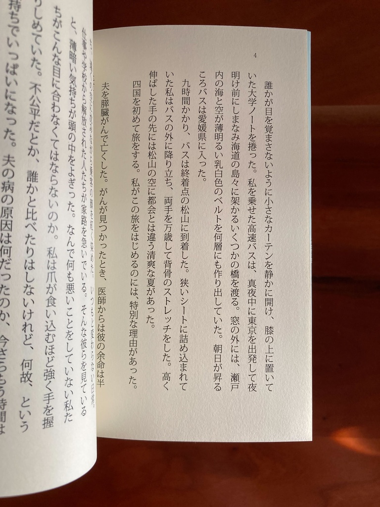 ニルヴァナの地図