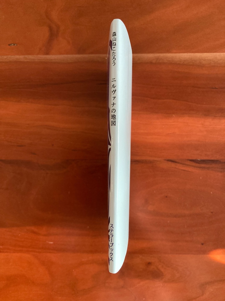 ニルヴァナの地図