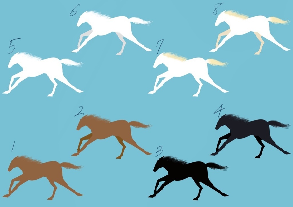 【フリー素材】馬