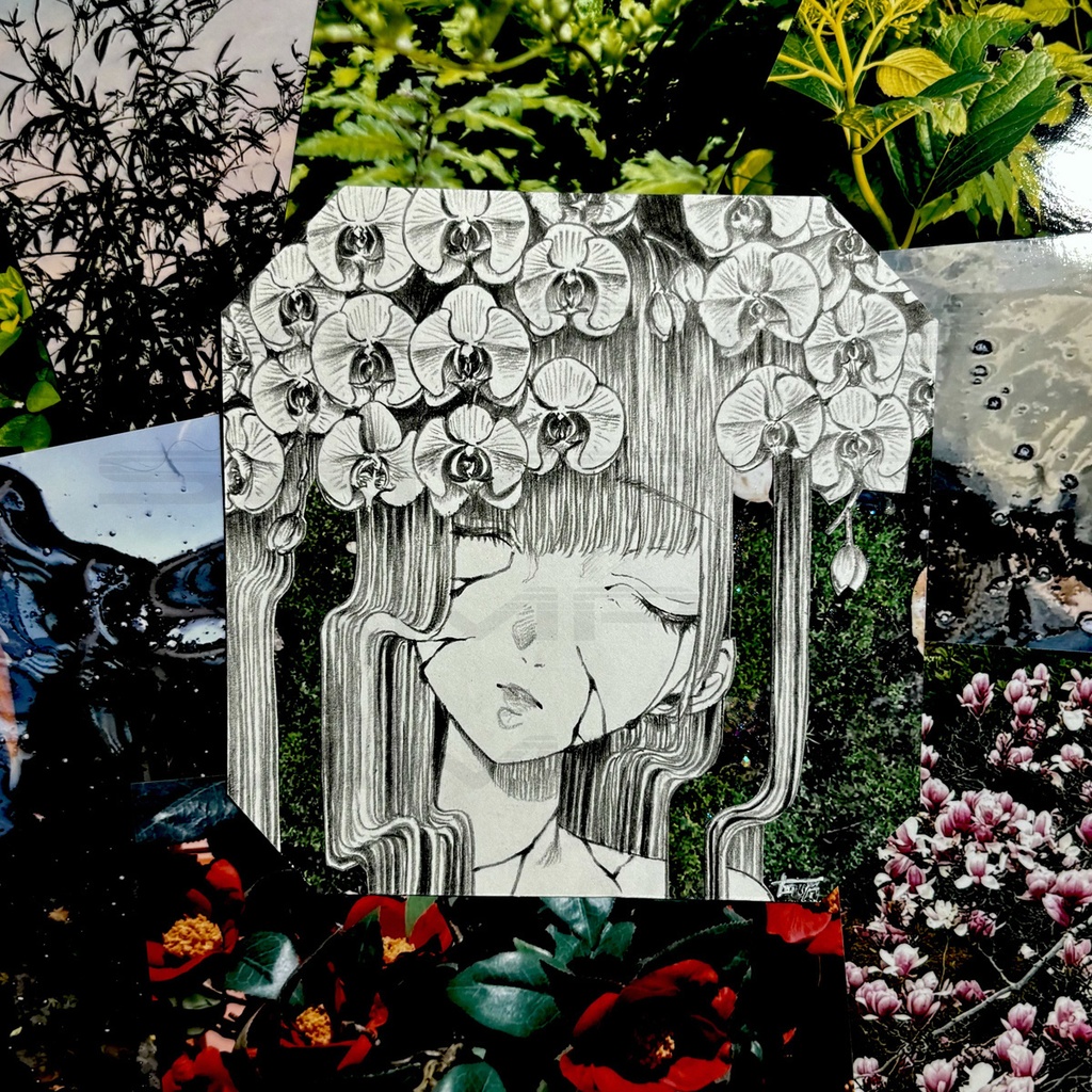 原画「花瓶の乙女・胡蝶蘭」