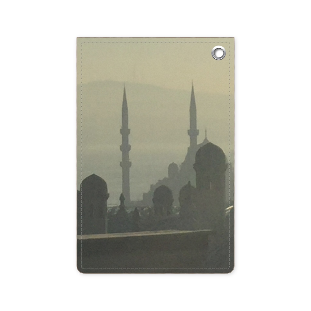 Passcase Istanbul