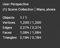 Emo Skater Slip-on Shoes for Sharlen「シャーレン」