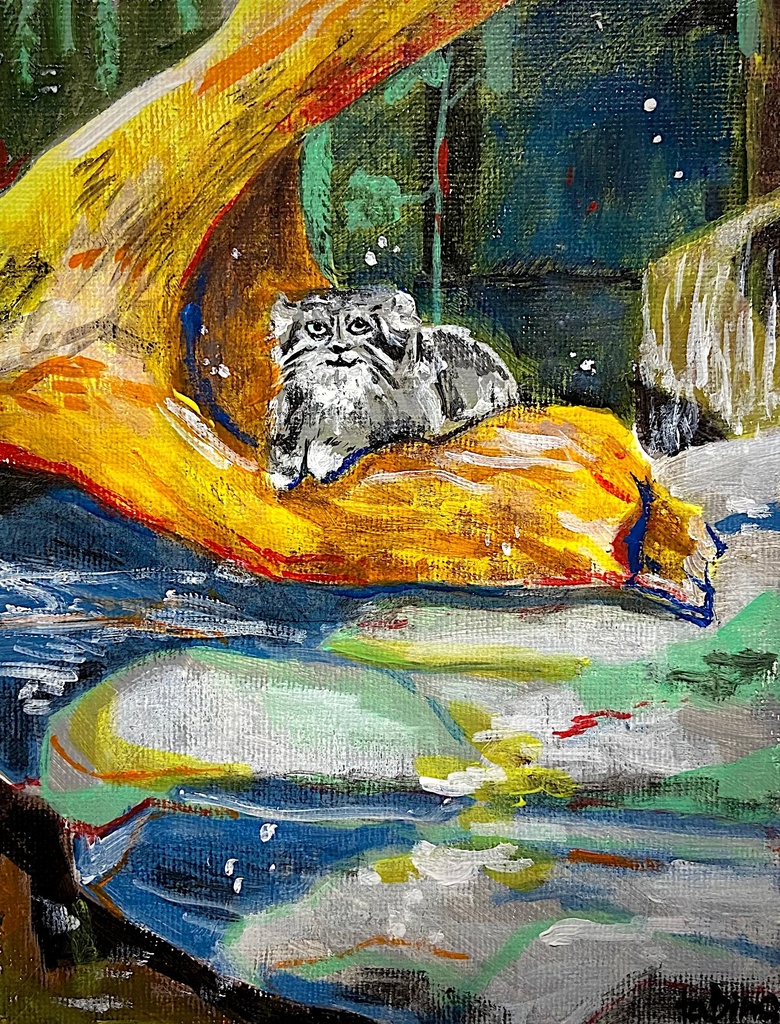 マヌルネコ　0号サイズ(原画)