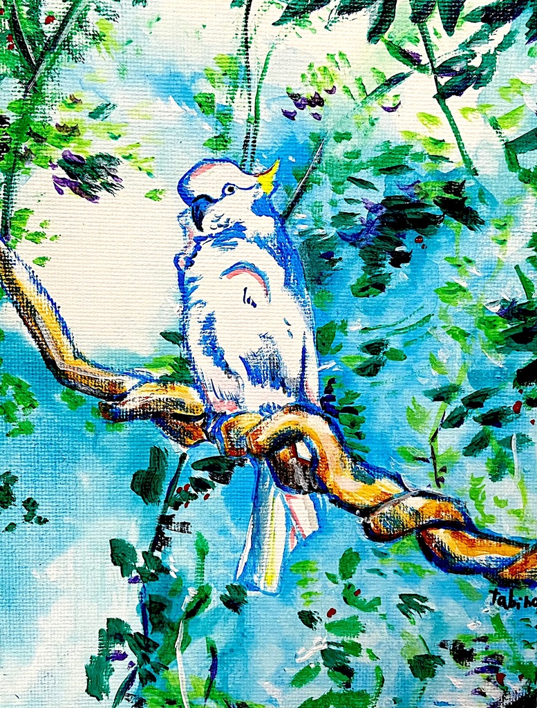 キバタン 0号サイズ(原画)