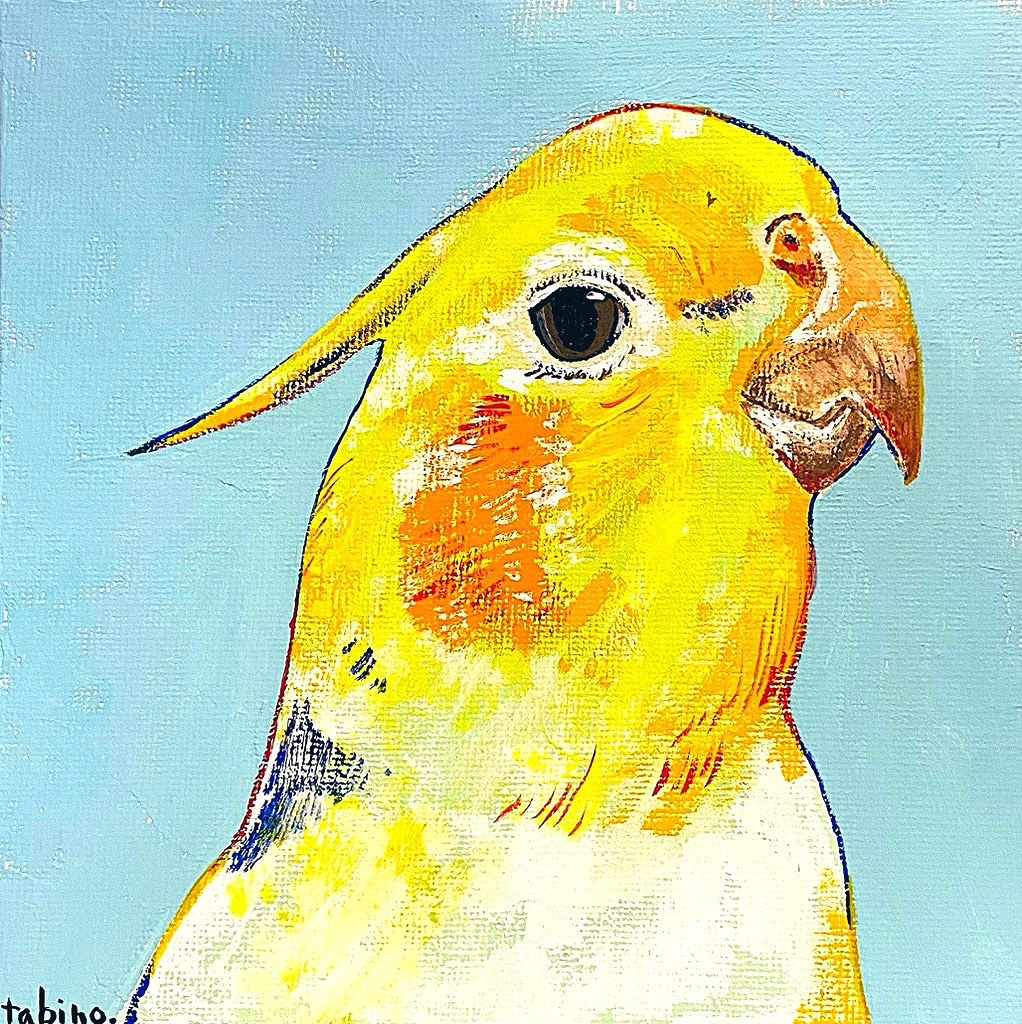 オカメインコ　15cm×15cm(原画)
