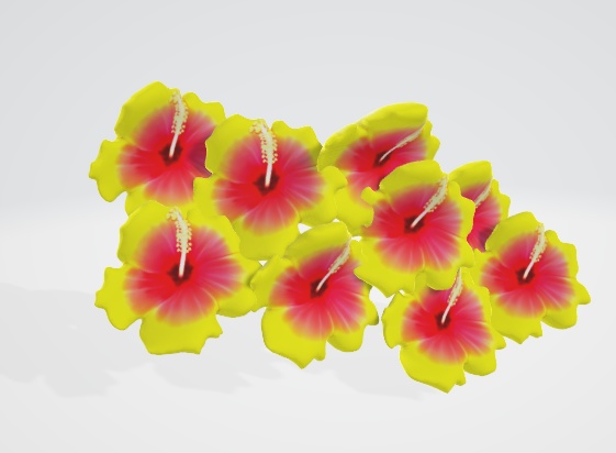 ハイビスカス２