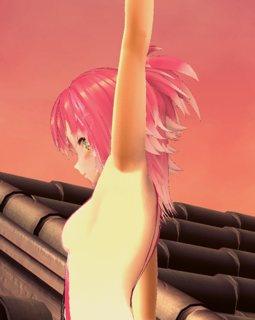 チャンピオンレスラースーツ3